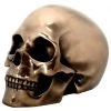 Other Bronzed Skull Head 1 Other Bronzed Skull Head