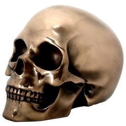 Other Bronzed Skull Head