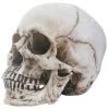 Other Skull Head (Removable Jaw) Housewares