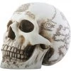 Other Treasure Map Skull