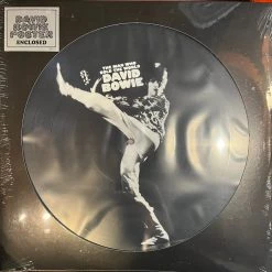 Vinyl Records David Bowie - The Man Who Sold The World LP Music