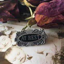 L'esquelet At Rest Coffin Plaque Pin