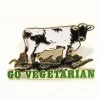 Other Go Vegetarian Pin