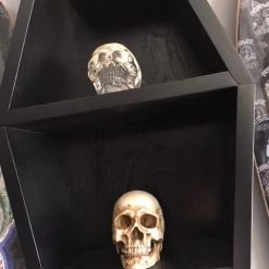 DeadRockers Housewares Black 2' Coffin Shelf