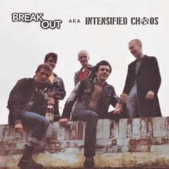 Vinyl Records Breakout - Aka Intensified Chaos LP Music
