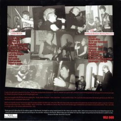 Vinyl Records Varukers ‎- Noisy Bastards! LP Music