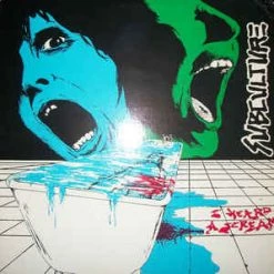 Vinyl Records Music Subculture - I Heard A Scream LP