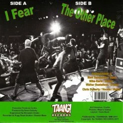 Vinyl Records Gang Green - I Fear/The Other Place 7