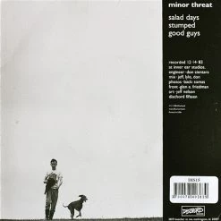 Vinyl Records Music Minor Threat - Salad Days 7"