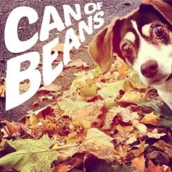 Vinyl Records Music Can Of Beans ‎- Can Of Beans LP