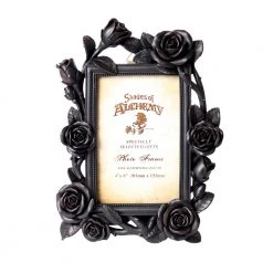 Alchemy Of England Black Roses & Vines Picture Fame Housewares