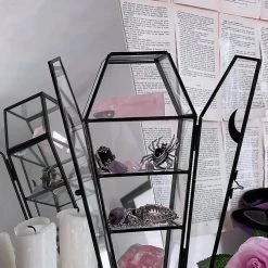 KillStar Housewares Tomb Glass Display Case