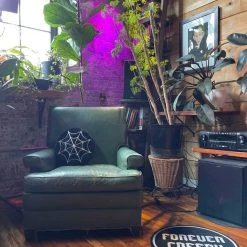 Sourpuss Furry Spiderweb Pillow