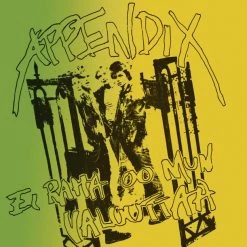 Vinyl Records Appendix ‎- Ei Raha Oo Mun Valuuttaa LP