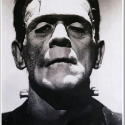 Annex Clothing Housewares Frankenstein Monster Portrait Fine Art Print
