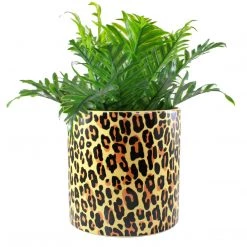 Sourpuss Leopard Plant Holder Housewares