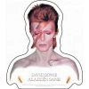 Band Merchandise David Bowie Aladdin Sane Sticker