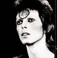 Band Merchandise David Bowie Sticker Stickers