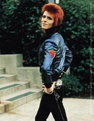 Band Merchandise Stickers David Bowie Pose Sticker