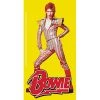 Band Merchandise David Bowie Yellow Pose Sticker