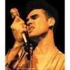 Band Merchandise Stickers Morrissey Sings Sticker 1 Band Merchandise Stickers Morrissey Sings Sticker