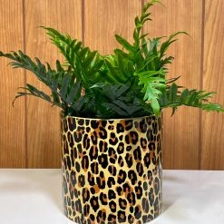 Sourpuss Leopard Plant Holder Housewares