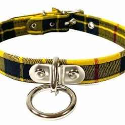 Funk Plus Anarchy In The UK Pink Yellow Choker Gals